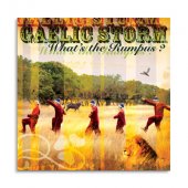 GaelicStorm_WhatsTheRumpus.jpg